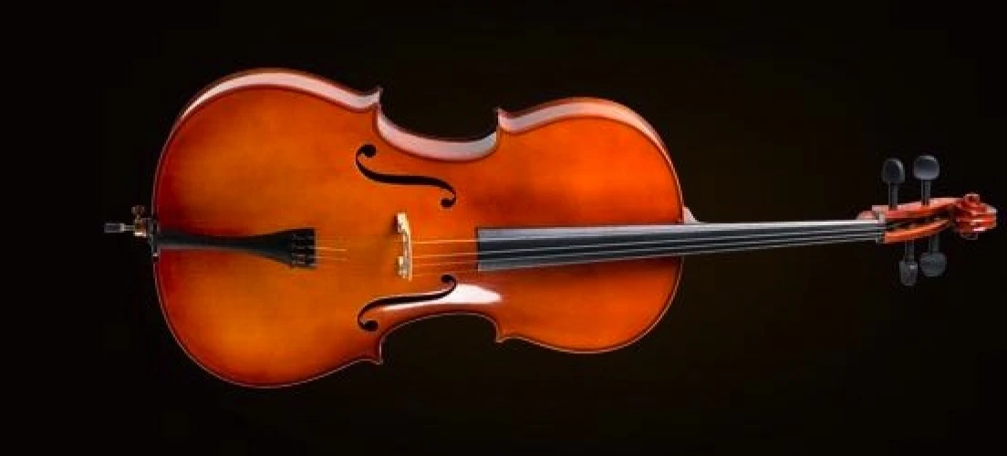VALENCIA CE400G44 CELLO, GERMAN STYLE, 4/4 1
