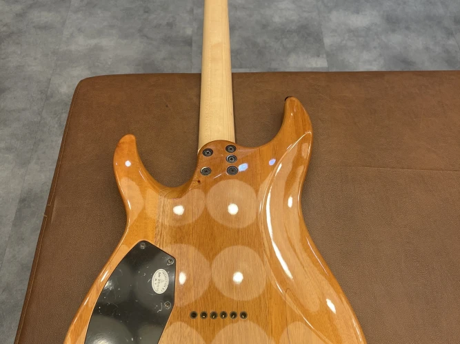 schecter c-6 4
