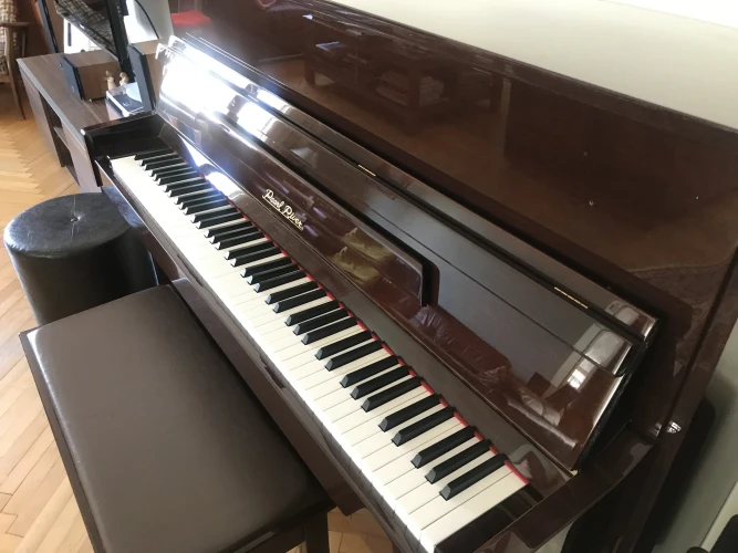 Pearl River UP118 marka akustik duvar piyanosu 5