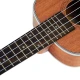 Tayste TUK200-24 Concert Ukulele 3