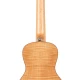 Lanikai FM-C Flame Maple Concert Ukulele 2