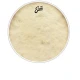 EVANS BD16CT 16" DERİ CALFTONE KİCK VE RESONANT SENTETİK TEK KAT 2