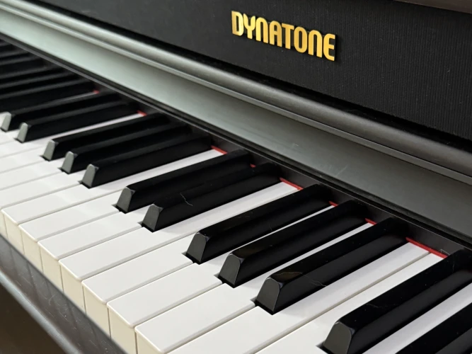 Dynatone DPS-95RW Dijital Piyano (Gülağacı) 4