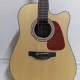 Takamine Gd 10ce NS 1