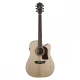 Washburn Heritage 20 Serisi HD20SCE Elektro Akustik Gitar 1