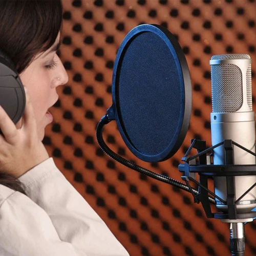 RODE K2 Tüp Mikrofon 4