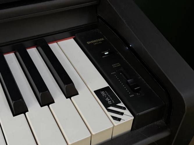 Dynatone DPS-95RW Dijital Piyano (Gülağacı) 3