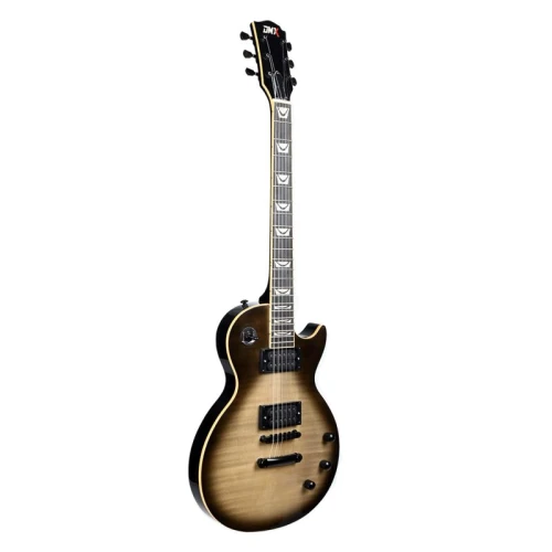Dmx Guitars DALP200 Antique Silverburst Les Paul Standart Elektro Gitar (Taşıma Çantası Hediyeli) 4