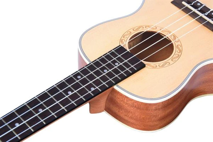 Tayste TUK210-24 Concert Ukulele 4