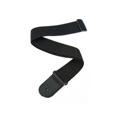 PLANETWAVES PWS100 1