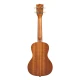 Kala Surfboard Concert Ukulele (Far Out) 2