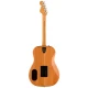 Fender Highway Serisi Dreadnought Gülağacı Klavye Natural Elektro Akustik Gitar 2