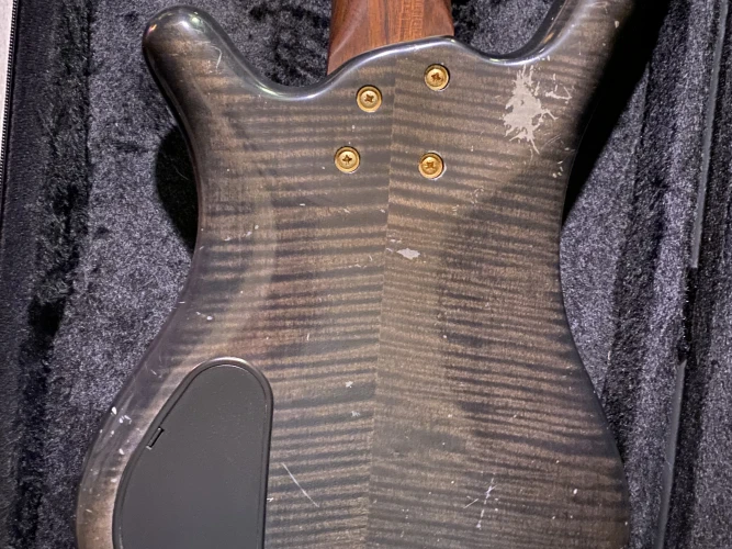 Corvette proline 5 6