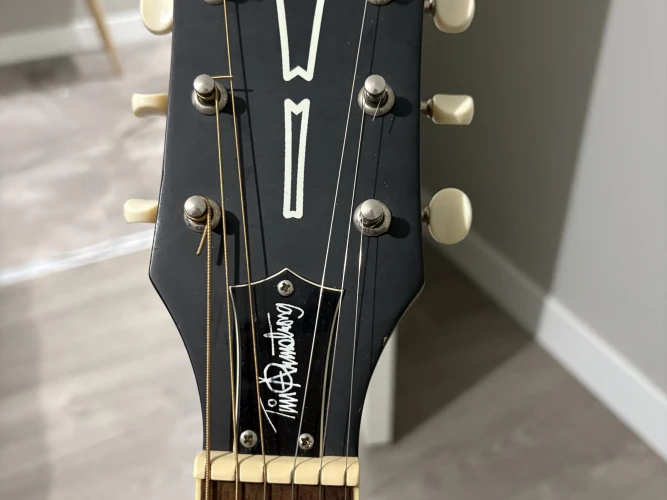 Fender Tim Armstrong Hellcat Akustik Gitar 5