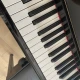 Steigerman Piyano 5