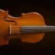 VİOLA KUTULU 15 5"(40cm) 2