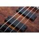 Schecter C-4 Standard Bas Gitar (Tobacco Burl) 5