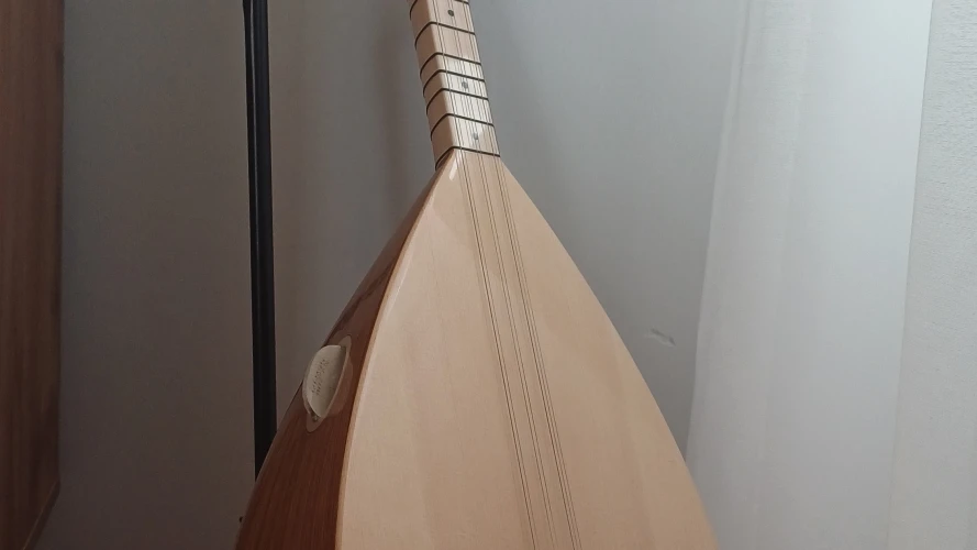 KISA SAP PROFESYONEL BAĞLAMA 1