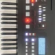 roland E-x50 org 1