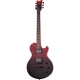 Schecter Solo-II Standard Elektro Gitar (Bloodburstl) 1