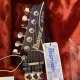 IBANEZ Joe Satriani JS2450 MCP Elektro Gitar 5