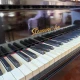 Steinway Kuyruklu Piano 9