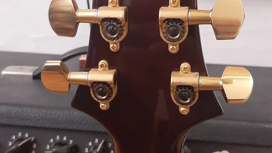 PRS SC58 Artist Pack 6