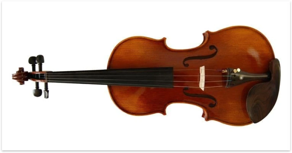 KINGLOS KNG PHB-1004C KEMAN 4/4 , KARBON CASE, 4 FIX'Lİ 3