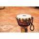Meinl JRD-KQ  Junior 7" Djembe (Kenyan) 8
