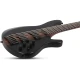 Schecter Charles Berthoud CB Series 5 Telli Bas Gitar (See Thru Black Satin) 2