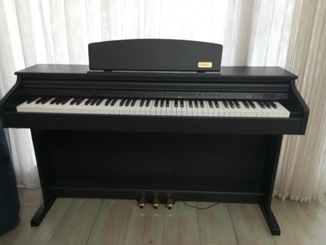 DP-3+ 1