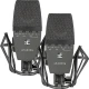sE Electronics sE4400 (P) Geniş Diyaframlı Condenser Mikrofon (Çift) 1