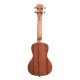 Kala KA-CG Maun Concert Ukulele (Natural) 2