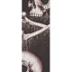 PLANETWAVES 25LAL01 GİTAR ASKISI, 2.5 ALCHEMY LTH-BLKBLOOD SKULL 2