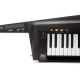 RK-100S 2-BK 2