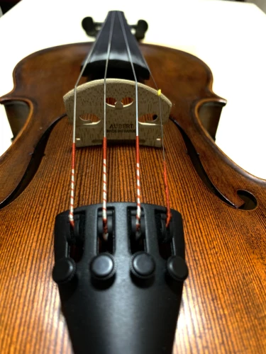 profesyonel keman Stentor Verona 6