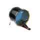 EVANS BD22HB 22" DERİ HYDRAULIC MAVİ KİCK CLEAR YAĞLI ÇİFT KAT 1