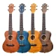 Kaysen U3-24BL Concert Ukulele 3