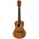 Cordoba 15CM Concert Ukulele 1