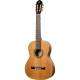 Ortega R20GWN Traditional Series Klasik Gitar (Natural) 1
