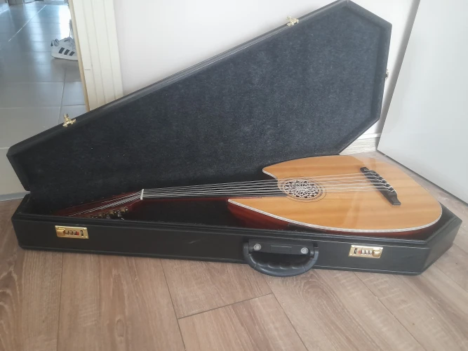 sadettin sandı elektro akustik ud 1
