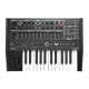 Arturia MiniBrute 2 - Noir Edition 1