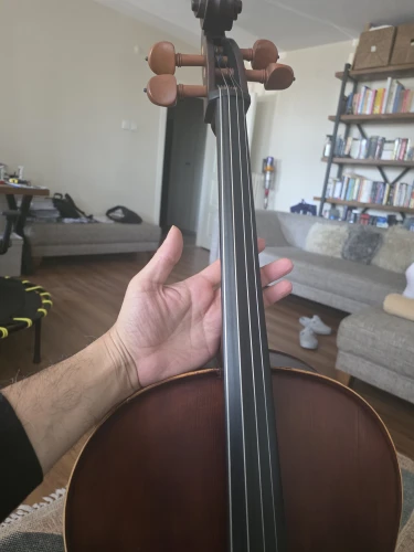 palmer çello 2