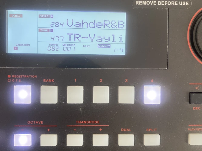 roland E-x50 org 2
