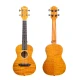 Kaysen U3-24GD Concert Ukulele 1