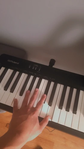 Roland Fp-10-Bk Siyah Taşınabilir Dijital Piyano 5