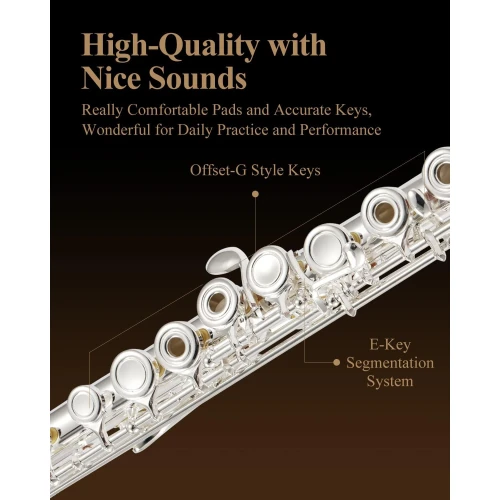 Eastar EFL-2 Yan Flüt (Gümüş Kaplama) 3