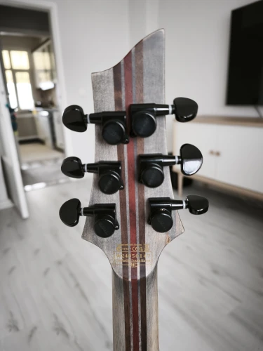 Schecter C-1 HT S SLS Elite Evil Twin Elektro Gitar (Mat Siyah) 7