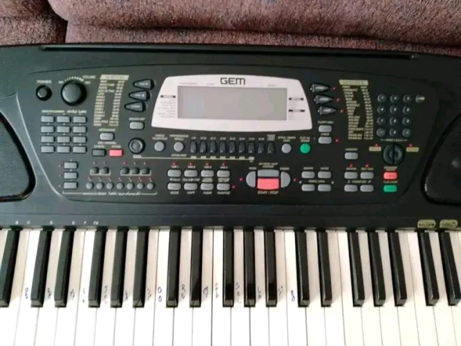 DÜĞÜN ORGU GEM WK1 ORYANTAL 2