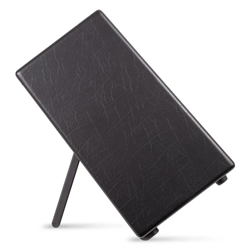 Blackstar Artist FR Special 1x12” Kabin 3